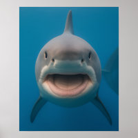 Arte de Muro de Tubarão Branco, Excelente sem dent
