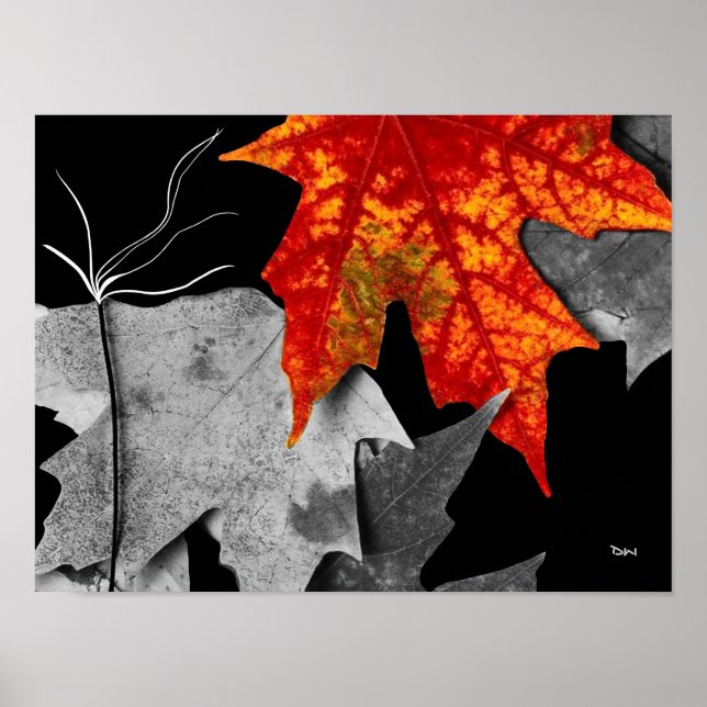 Póster Arte de Outono (Frente)