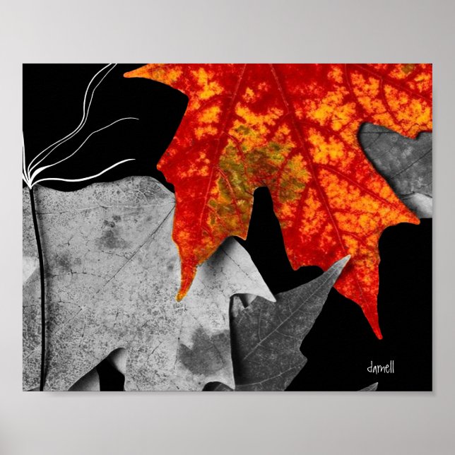 Póster Arte de Outono (tamanho de moldura padrão) (Frente)