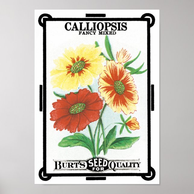 Poster Arte de Pacote de Sementes Antigas, Flores de Jard (Frente)