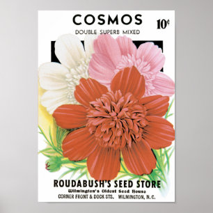 Poster Arte de Pacote de Sementes Antigas, Flores de Jard
