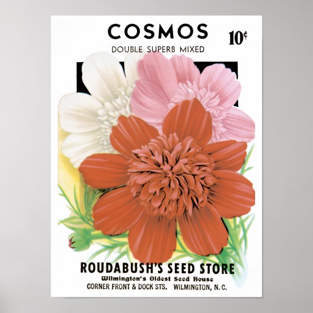 Poster Arte de Pacote de Sementes Antigas, Flores de Jard (Frente)