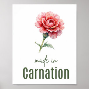 Poster Arte de Parede Aquarela de Cravo de Natal de Janei