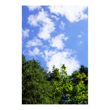 Arte de Parede Árvores de Bordo Céu Azul Nuvens Br