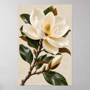 Poster Arte de Parede Botânica Magnólia Vintage Elegante