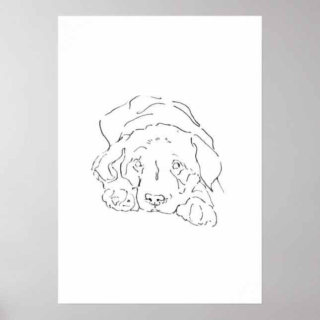 Poster Arte de Parede Cachorro Labrador Retriever Fofa, D (Frente)