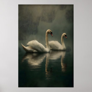 Poster Arte de Parede Casal de Cisnes Antigos, Ilustração