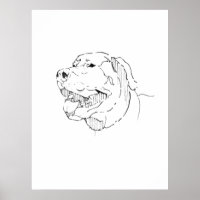 Arte de Parede com Tinta de Labrador Retriever Min