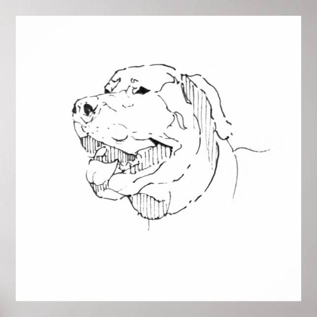Poster Arte de Parede com Tinta Labrador Retriever (Frente)