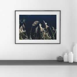 Poster Arte de Parede da Natureza Abstrata – Paisagem Mod