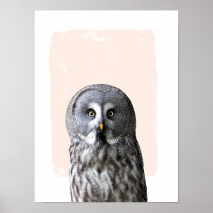Poster Arte de parede de berçário de coruja retrato de an