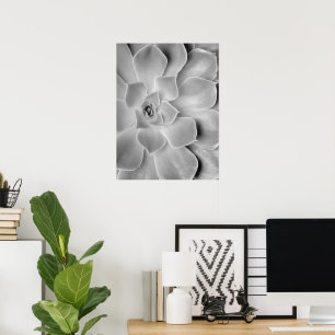 Poster Arte de parede de cactus preto e branco para impre