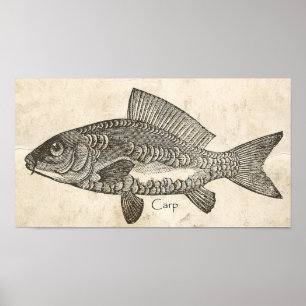 Poster Arte de Parede de Cozinha Vintage Carp Koi Fish