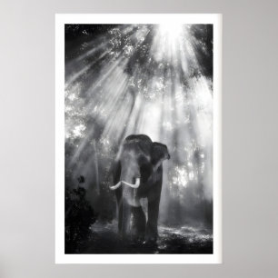 Poster Arte de Parede de Elefante Monocromático, Foto da 