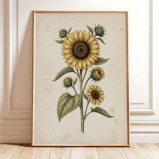 Poster Arte de Parede de Fazenda Vintage Girassol