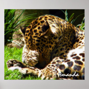 Póster Arte de Parede de Fotografia de Animal Adorável Le