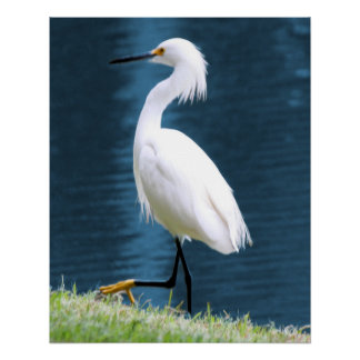 Póster Arte de Parede de Garça Minimalista Natureza Coste