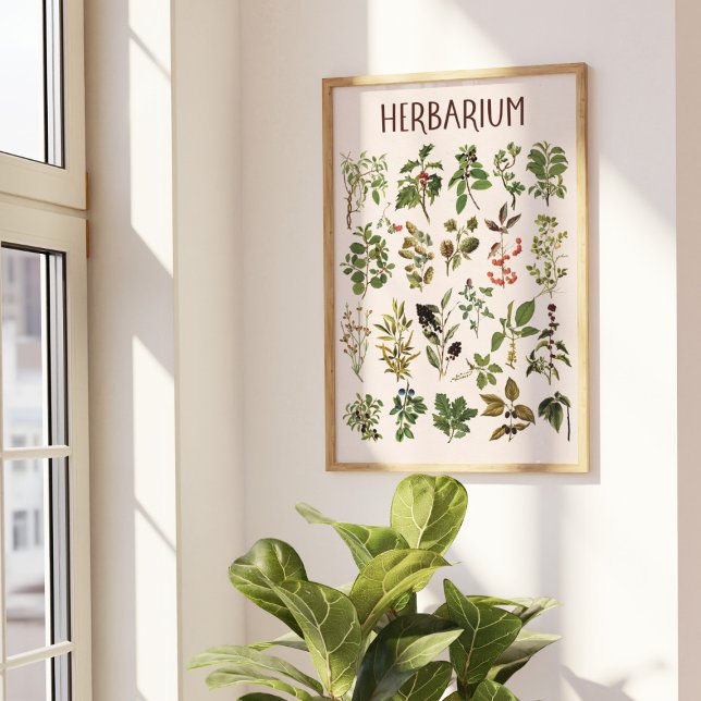 Poster Arte de Parede de Gráfico de Planta Verde de Herbá (In situ under sunlight)