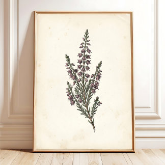 Poster Arte de Parede de Jardim Botânico Vintage