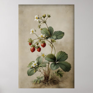Poster Arte de Parede de Morango Amora Imprimível, Antigo