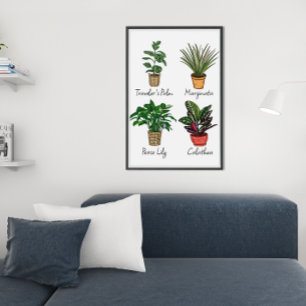 Poster Arte de Parede de Plantas Desenhadas à Mão