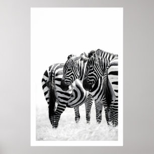 Poster Arte de Parede Estampa de Zebra Movimento Sutil, P