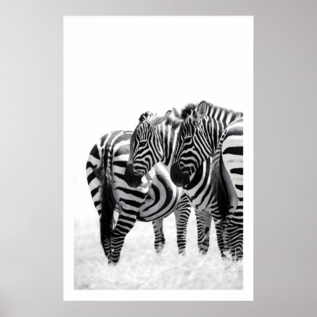 Poster Arte de Parede Estampa de Zebra Movimento Sutil, P (Frente)