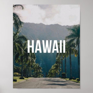 Poster Arte de Parede Estética de Palmeiras Tropicais do