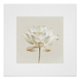 Póster Arte de Parede Flor de Lótus Branco – Bo Minimalis