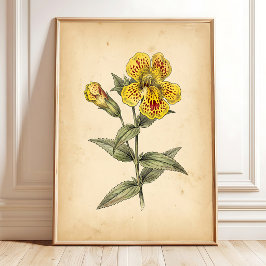 Poster Arte de Parede Flor de Macaco Vintage em Tela