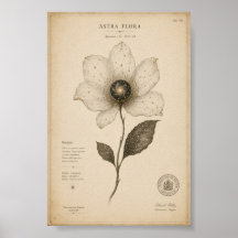 Arte de Parede Floral de Astronomia Antiga
