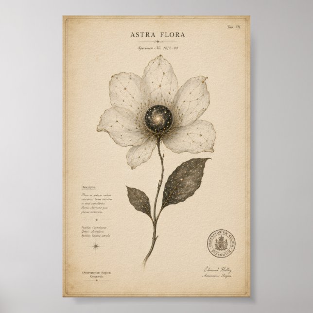 Poster Arte de Parede Floral de Astronomia Antiga (Frente)