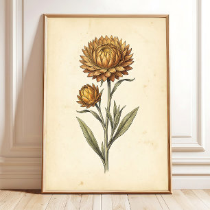 Poster Arte de Parede Floral de Palhaço Botânico