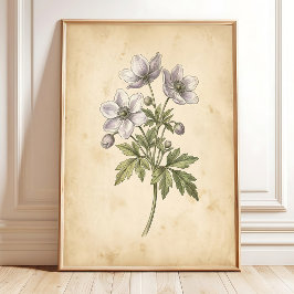 Poster Arte de Parede Floral Vintage Windflower Emoldurad