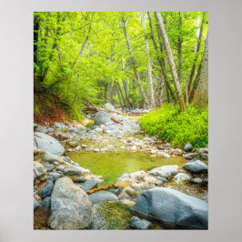 Poster Arte de Parede Forest Creek | Córrego da Floresta 