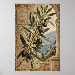 Poster Arte de Parede Mediterrâneo Ramo de Oliveira Vinta