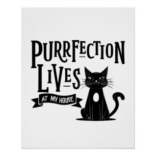 Póster Arte de Parede para Amantes de Gatos – “A Perfeiçã