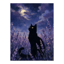 Arte de Parede Silhueta de Gato Preto — Campo de L