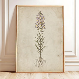 Poster Arte de Parede Vintage Linaria Bloom