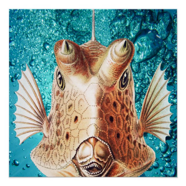 Póster Arte de Peixes Bonitos por Earnst Haeckel (Frente)