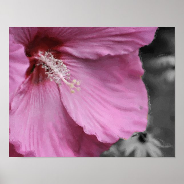 Póster Arte de Pintura de Fotos em Hibiscus Rosa (Frente)
