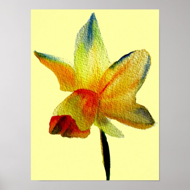 Poster Arte de primavera de aquarela amarela Daffodil (Frente)