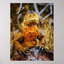 Poster Arte de Réptil Iguana