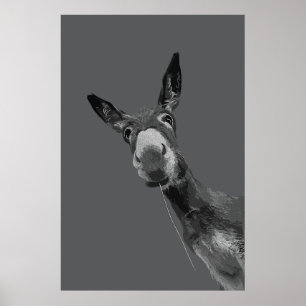 Poster Arte de retrato em tons de cinza de um burro engra