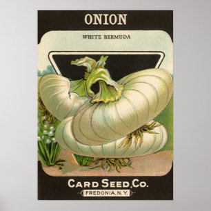 Poster Arte de rótulo de pacote de sementes vintage Cebol