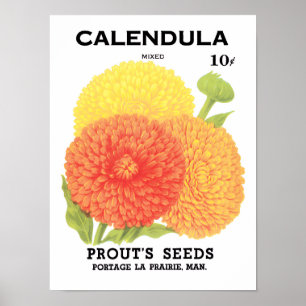 Poster Arte de rótulo de pacote de sementes vintage, flor