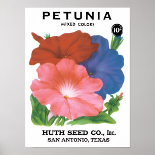 Poster Arte de rótulo de pacote de sementes vintage, flor