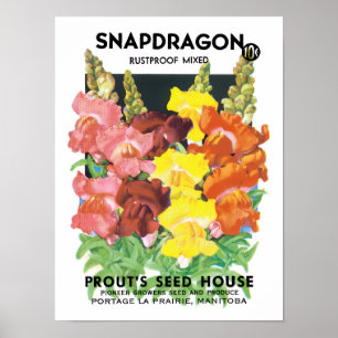 Póster Arte de rótulo de pacote de sementes vintage, flor
