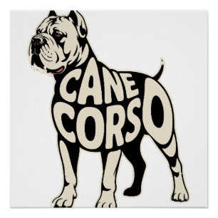 Póster Arte de Tipografia Negrito Cane Corso