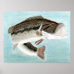 Poster Arte de vencimento por D. Gillett - categoria 9